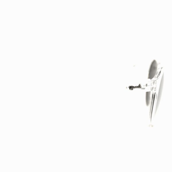 DSC 1782 600x600